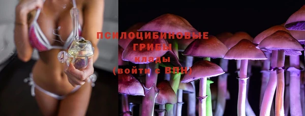 гашик Кинешма