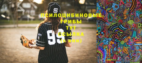 гашик Кинешма