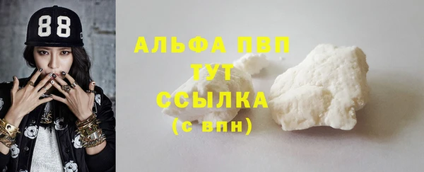 гашик Кинешма