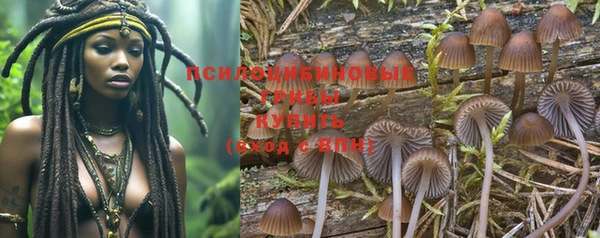 гашик Кинешма