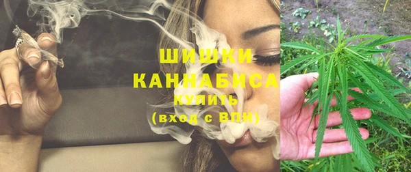 ПСИЛОЦИБИНОВЫЕ ГРИБЫ Киреевск